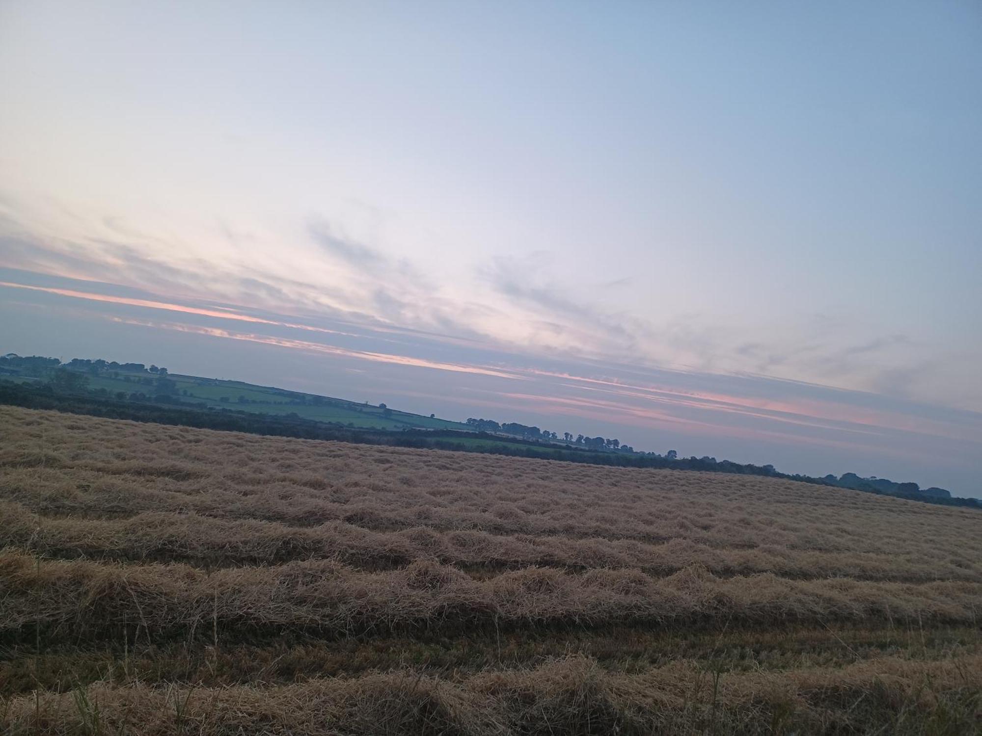 Country Haven Eircode H54 Ak31 Daire Galway Dış mekan fotoğraf