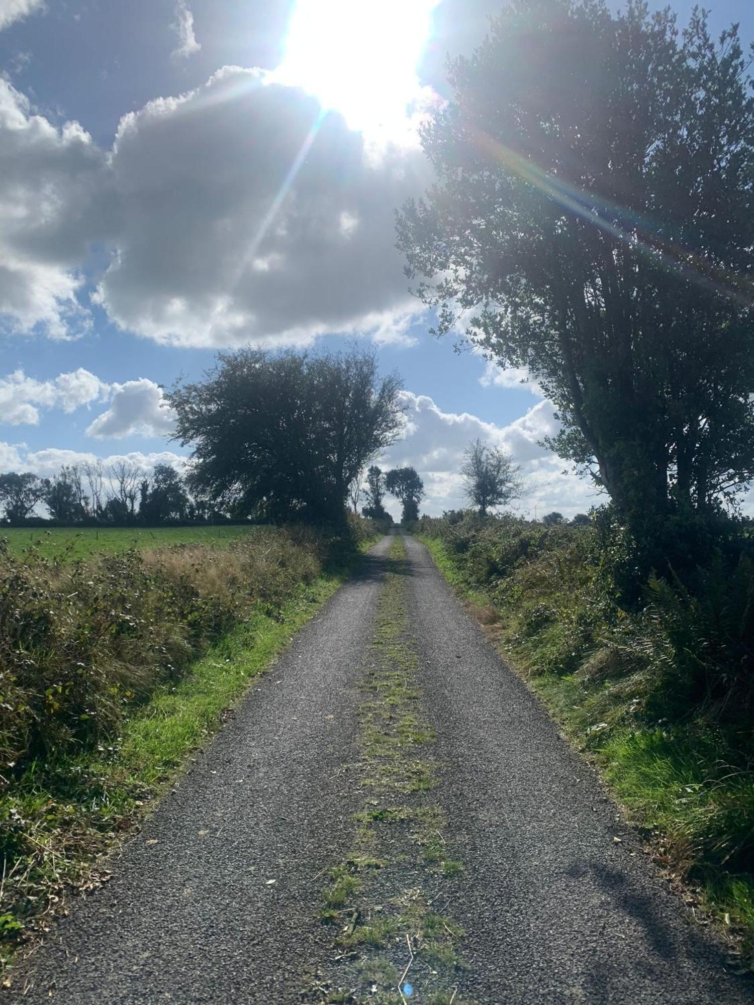 Country Haven Eircode H54 Ak31 Daire Galway Dış mekan fotoğraf